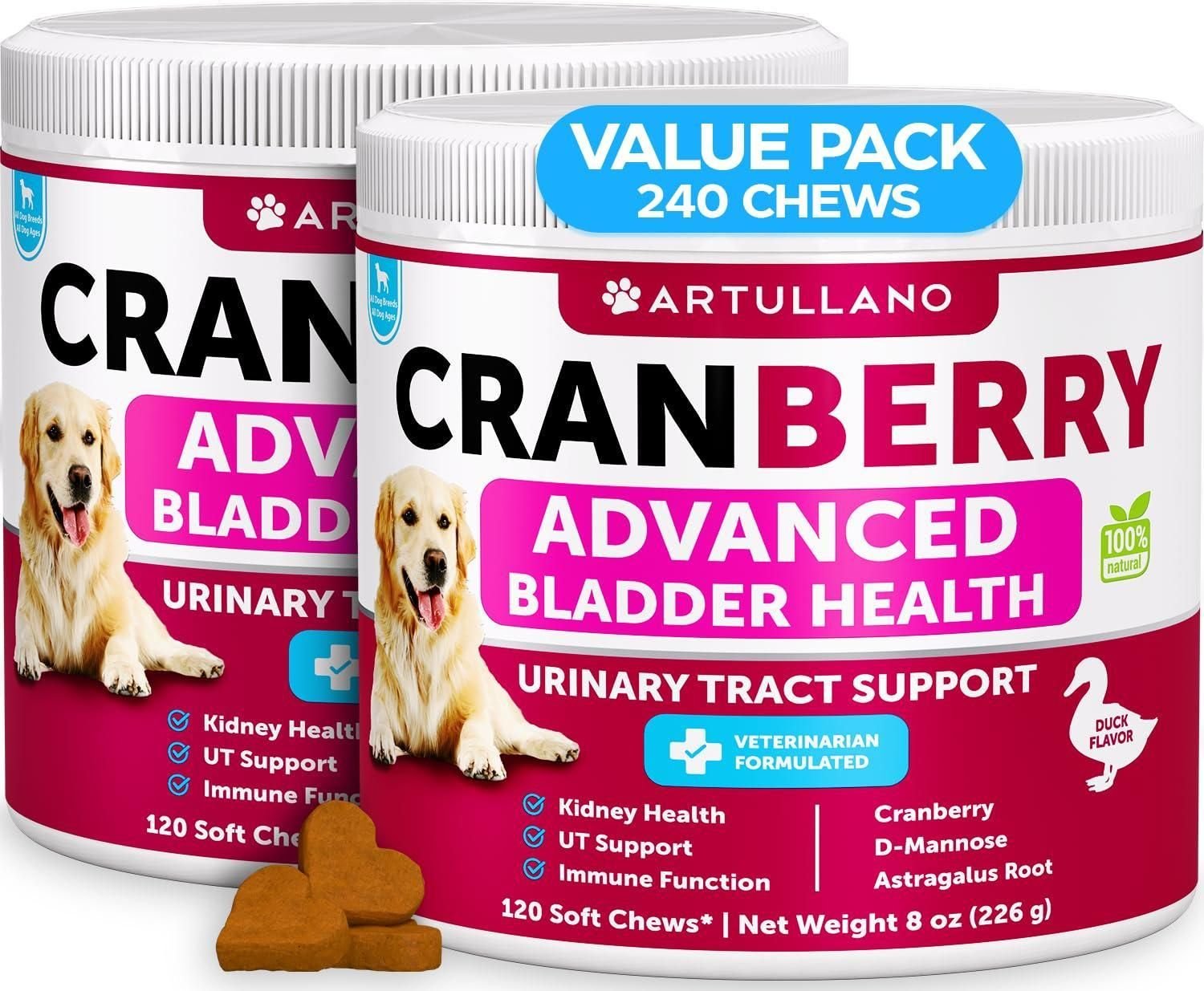 Dog UTI Treatment Cranberry Supplement and Bladder Control for Dogs UTI ...