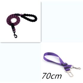 Reflective Dog Leash Nylon Pet Dog Leash Rope For Small Medium Large Dogs Walking Training Pet Suppiles (Option: Purple set)